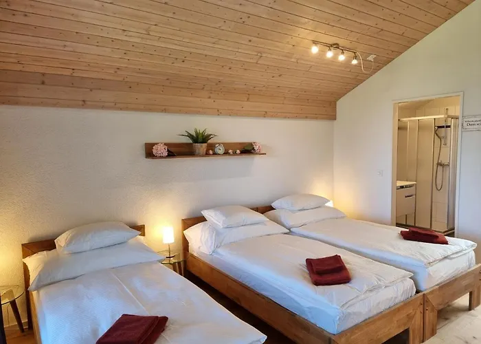 Apartman Seeparadiesli Am Schoenen Thunersee *